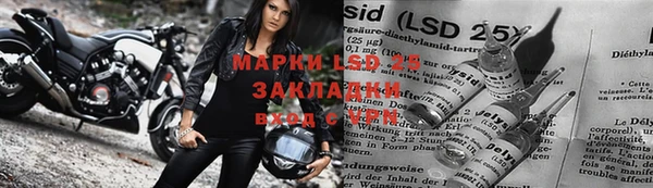 амф Аркадак