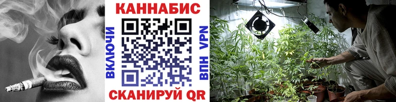 Каннабис сатива Купить закладки Тара